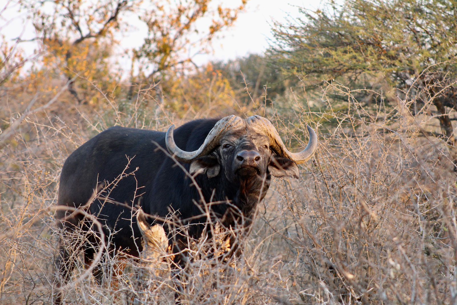 27EA571C-25BE-448E-9BF7-1E64CA2DA3C4_1_201_a