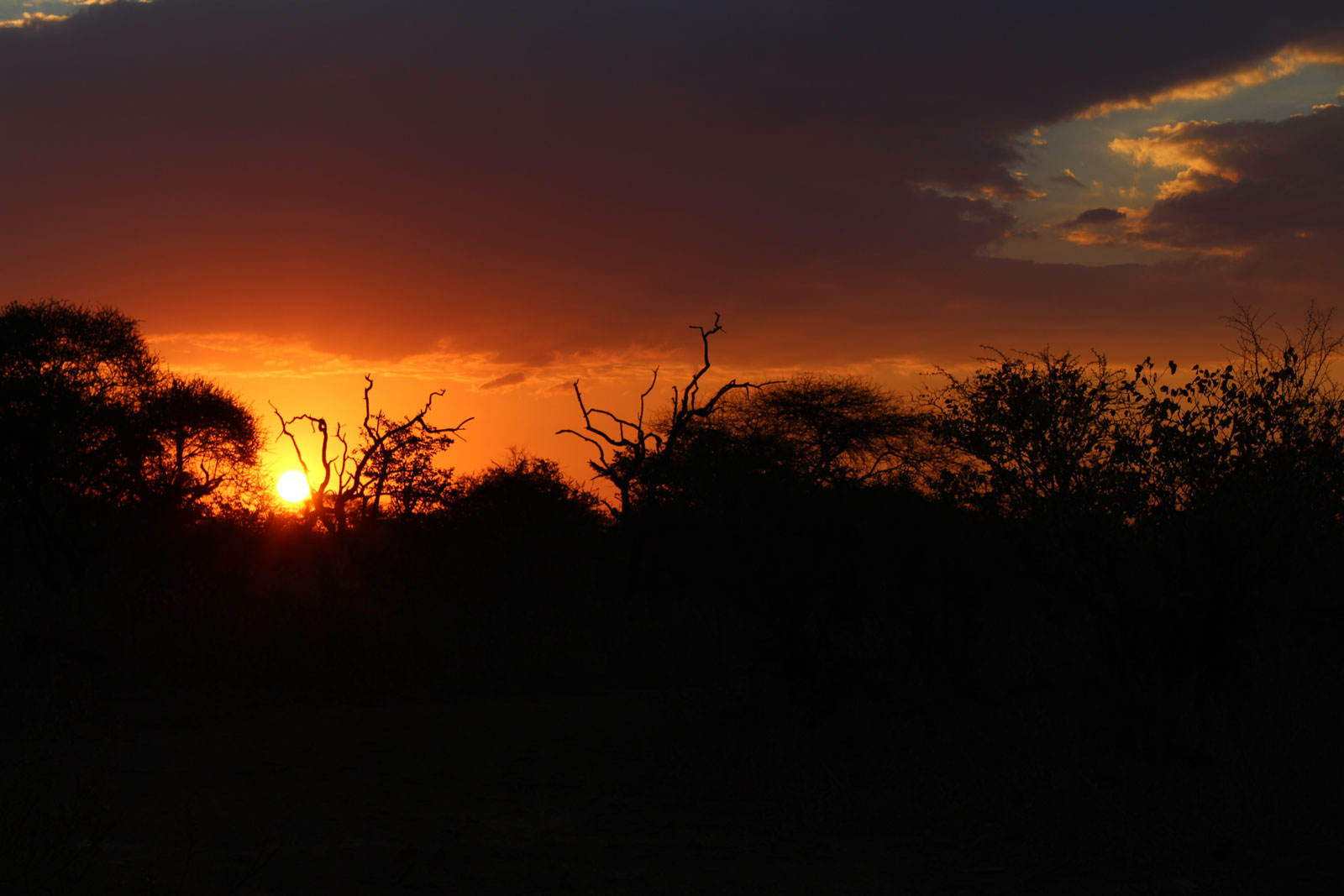 B69E5BAA-5D8E-4F06-9D38-5D56373EFB59